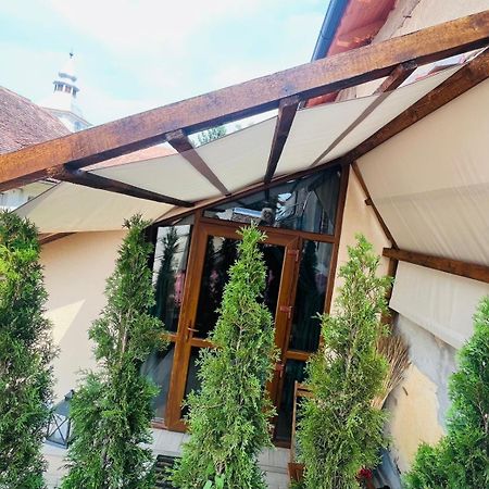 Studio Rezistenta Făgăraş Екстериор снимка