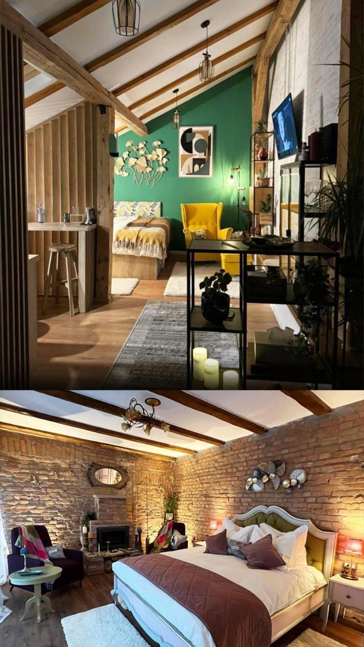 Studio Rezistenta Făgăraş Екстериор снимка
