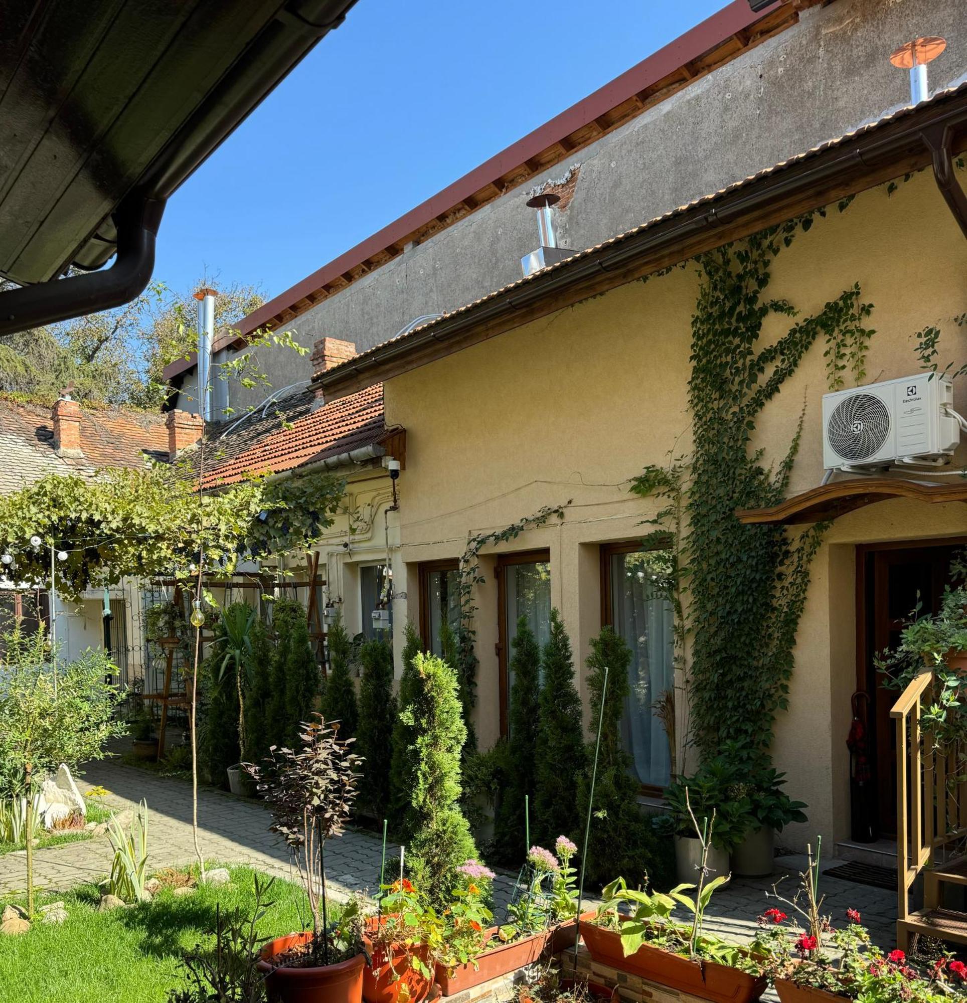 Studio Rezistenta Făgăraş Екстериор снимка